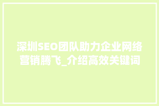 深圳SEO团队助力企业网络营销腾飞_介绍高效关键词布局步骤