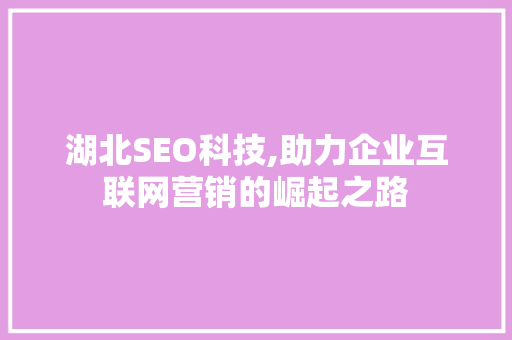 湖北SEO科技,助力企业互联网营销的崛起之路