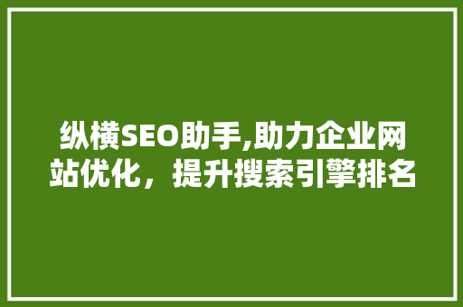 纵横SEO助手,助力企业网站优化，提升搜索引擎排名