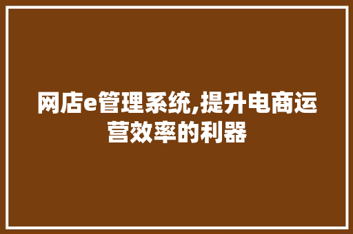网店e管理系统,提升电商运营效率的利器