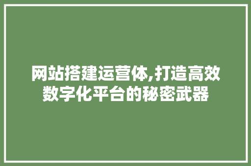 网站搭建运营体,打造高效数字化平台的秘密武器