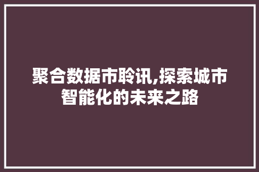 聚合数据市聆讯,探索城市智能化的未来之路
