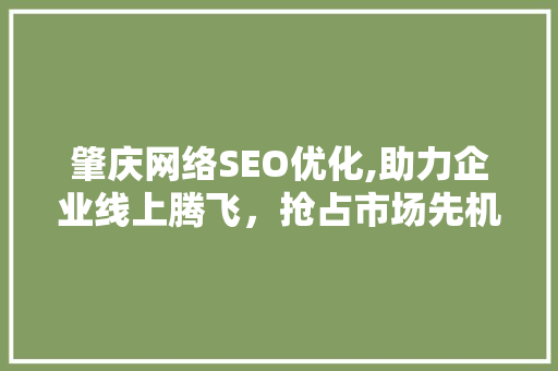 肇庆网络SEO优化,助力企业线上腾飞，抢占市场先机 肇庆网络SEO优化,助力企业线上腾飞，抢占市场先机 网站开发
