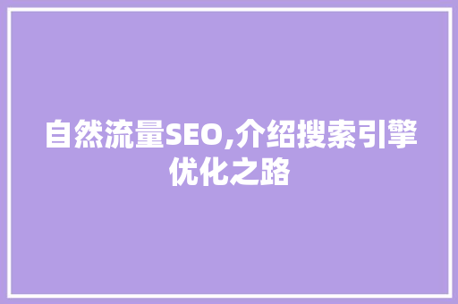 自然流量SEO,介绍搜索引擎优化之路