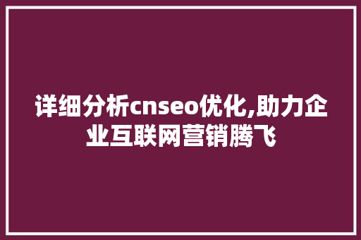 详细分析cnseo优化,助力企业互联网营销腾飞