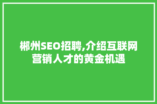 郴州SEO招聘,介绍互联网营销人才的黄金机遇