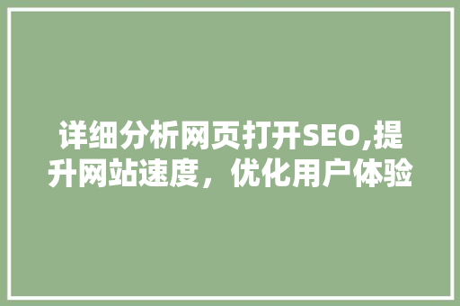 详细分析网页打开SEO,提升网站速度，优化用户体验