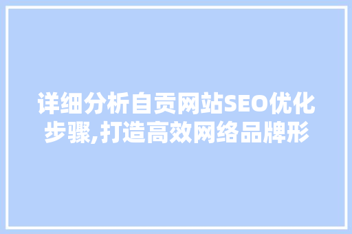 详细分析自贡网站SEO优化步骤,打造高效网络品牌形象