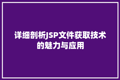 详细剖析JSP文件获取技术的魅力与应用