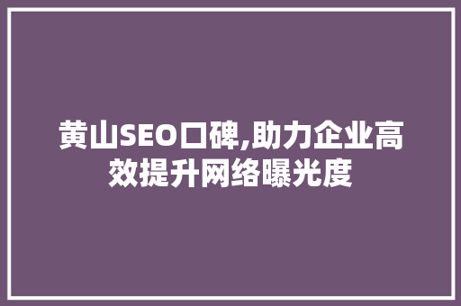 黄山SEO口碑,助力企业高效提升网络曝光度