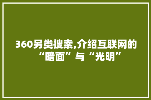 360另类搜索,介绍互联网的“暗面”与“光明” 360另类搜索,介绍互联网的“暗面”与“光明” 百度算法