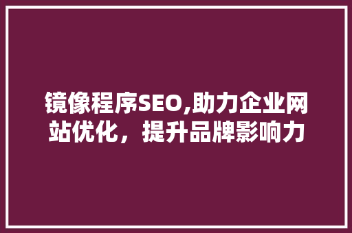 镜像程序SEO,助力企业网站优化，提升品牌影响力