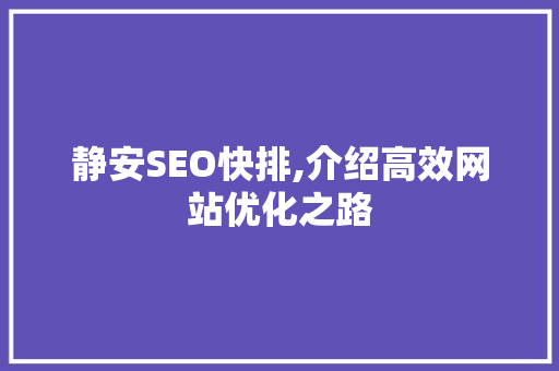 静安SEO快排,介绍高效网站优化之路