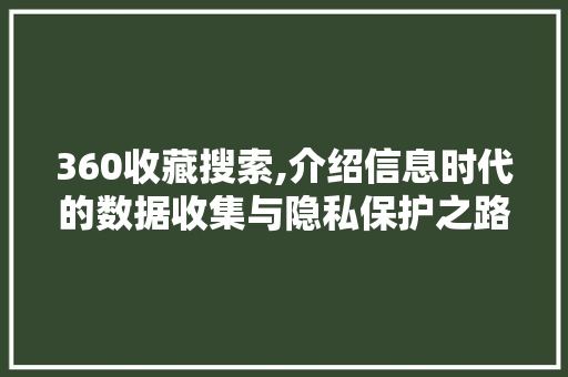 360收藏搜索,介绍信息时代的数据收集与隐私保护之路