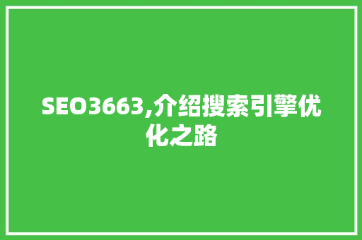 SEO3663,介绍搜索引擎优化之路