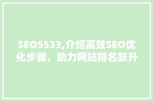 SEO5533,介绍高效SEO优化步骤，助力网站排名跃升