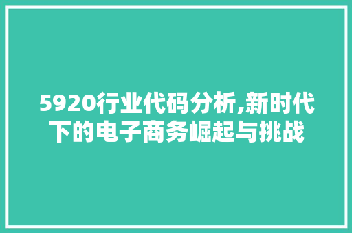 5920行业代码分析,新时代下的电子商务崛起与挑战