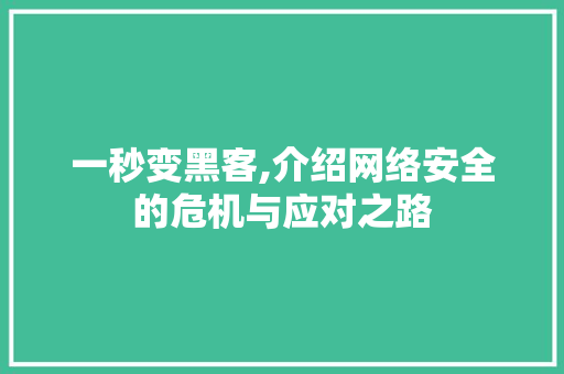 一秒变黑客,介绍网络安全的危机与应对之路