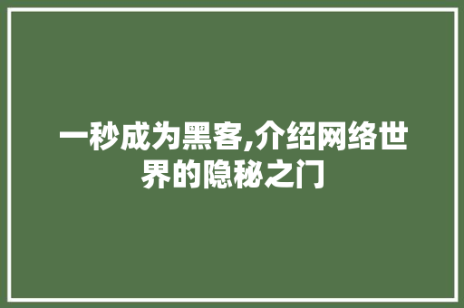 一秒成为黑客,介绍网络世界的隐秘之门