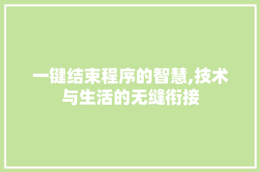 一键结束程序的智慧,技术与生活的无缝衔接