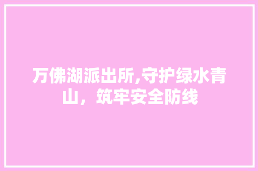 万佛湖派出所,守护绿水青山，筑牢安全防线