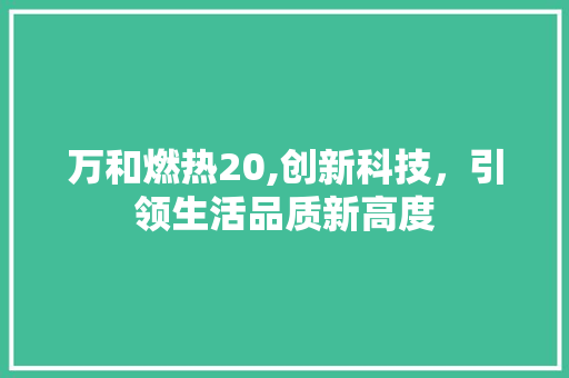 万和燃热20,创新科技，引领生活品质新高度 万和燃热20,创新科技，引领生活品质新高度 英文谷歌算法