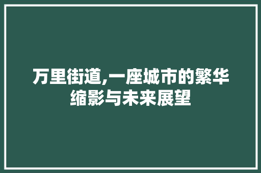 万里街道,一座城市的繁华缩影与未来展望 网站优化 万里街道,一座城市的繁华缩影与未来展望 万里街道,一座城市的繁华缩影与未来展望 网站优化