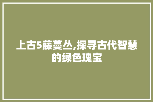 上古5藤蔓丛,探寻古代智慧的绿色瑰宝