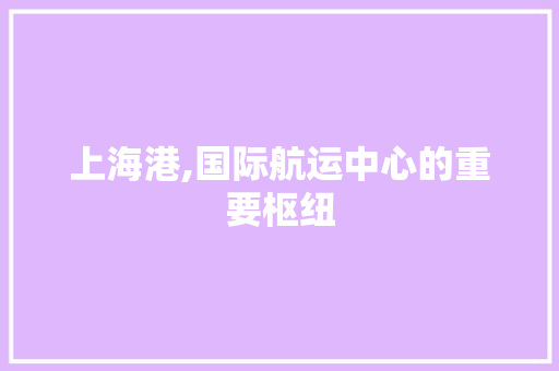 上海港,国际航运中心的重要枢纽