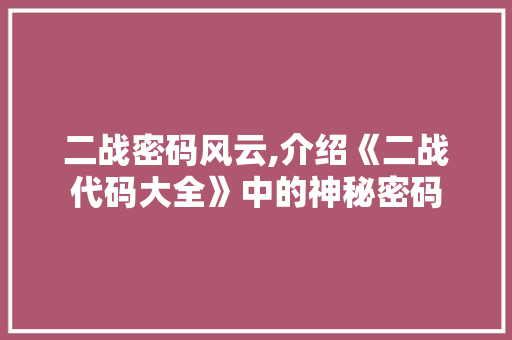 二战密码风云,介绍《二战代码大全》中的神秘密码