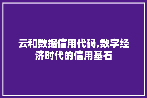 云和数据信用代码,数字经济时代的信用基石