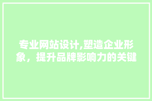 专业网站设计,塑造企业形象，提升品牌影响力的关键因素 专业网站设计,塑造企业形象，提升品牌影响力的关键因素 网站优化