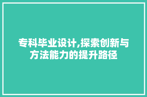 专科毕业设计,探索创新与方法能力的提升路径