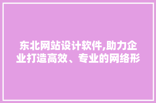 东北网站设计软件,助力企业打造高效、专业的网络形象