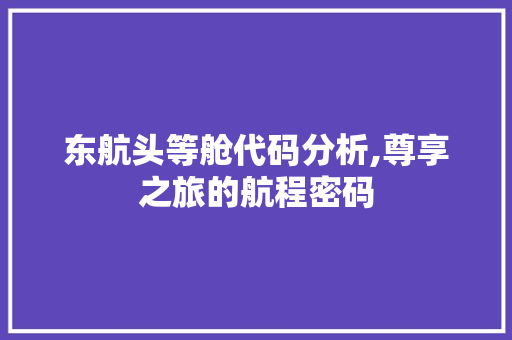 东航头等舱代码分析,尊享之旅的航程密码