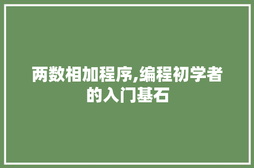 两数相加程序,编程初学者的入门基石