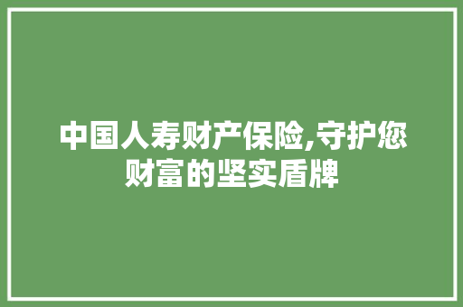 中国人寿财产保险,守护您财富的坚实盾牌