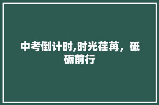 中考倒计时,时光荏苒，砥砺前行 中考倒计时,时光荏苒，砥砺前行 AI技术学习