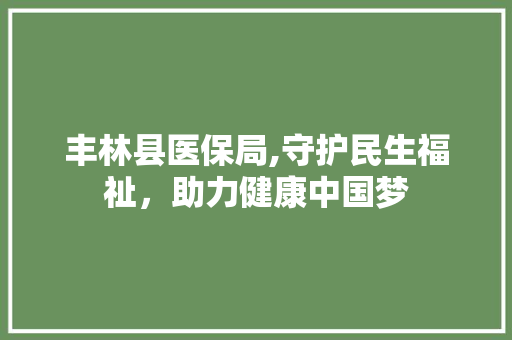 丰林县医保局,守护民生福祉，助力健康中国梦
