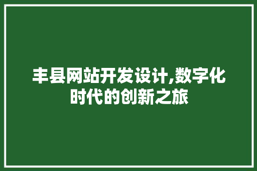 丰县网站开发设计,数字化时代的创新之旅