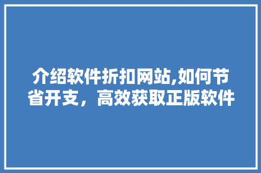 介绍软件折扣网站,如何节省开支，高效获取正版软件