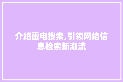 介绍雷电搜索,引领网络信息检索新潮流