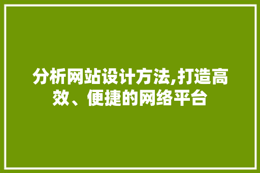 分析网站设计方法,打造高效、便捷的网络平台
