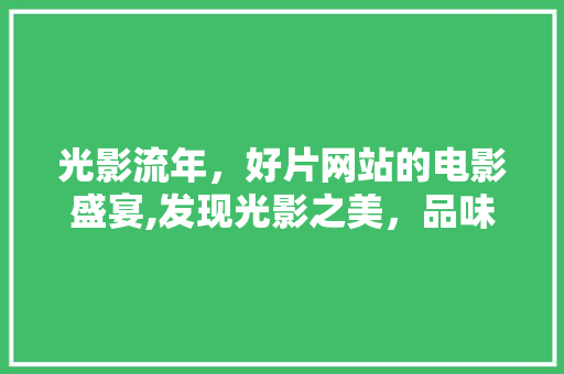 光影流年，好片网站的电影盛宴,发现光影之美，品味人生百态 光影流年，好片网站的电影盛宴,发现光影之美，品味人生百态 AI技术学习