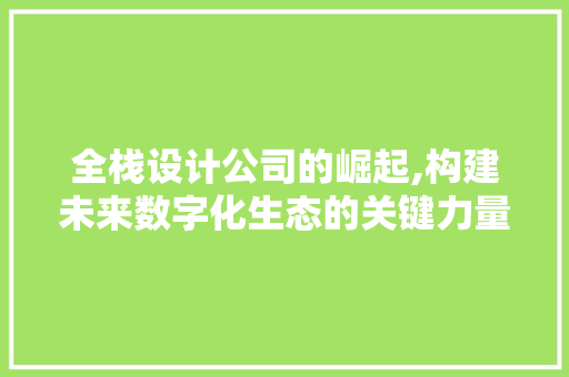 全栈设计公司的崛起,构建未来数字化生态的关键力量 全栈设计公司的崛起,构建未来数字化生态的关键力量 英文谷歌算法