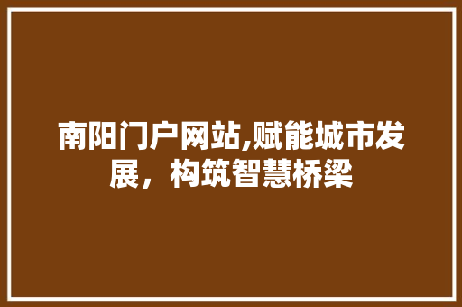 南阳门户网站,赋能城市发展，构筑智慧桥梁