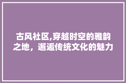 古风社区,穿越时空的雅韵之地，邂逅传统文化的魅力