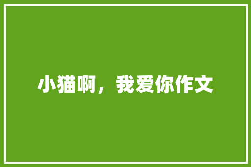 国外绘本网站设计分析,创意无限，寓教于乐