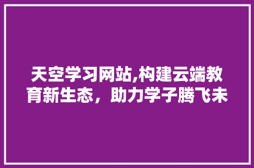 天空学习网站,构建云端教育新生态，助力学子腾飞未来