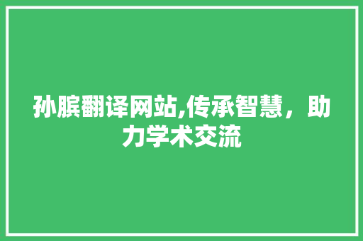 孙膑翻译网站,传承智慧，助力学术交流 孙膑翻译网站,传承智慧，助力学术交流 网站开发
